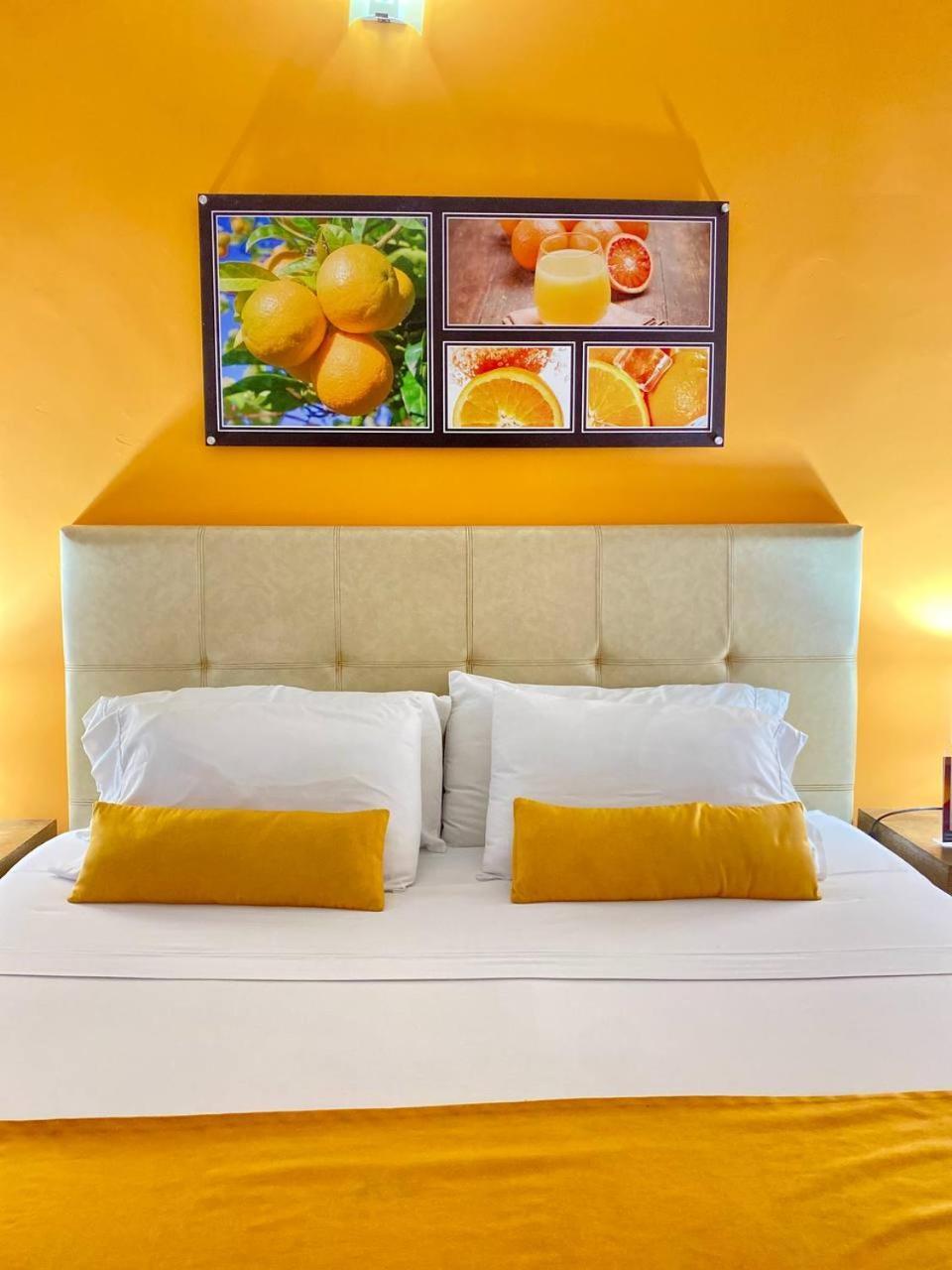 Hotel Aromax Del Campestre 메딜린 외부 사진
